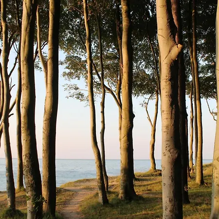 Gerda In Ostseenaehe Hinter Bollhagen