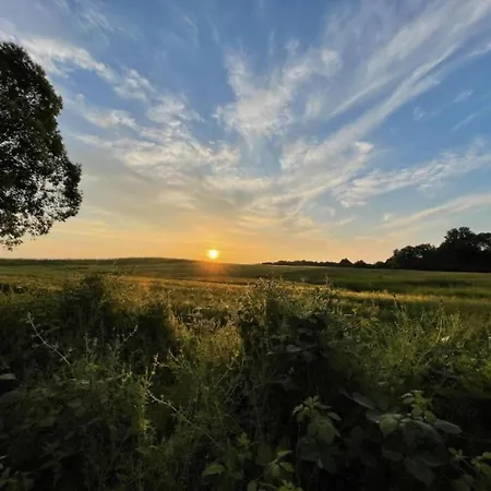 Gerda In Ostseenaehe Hinter Bollhagen
