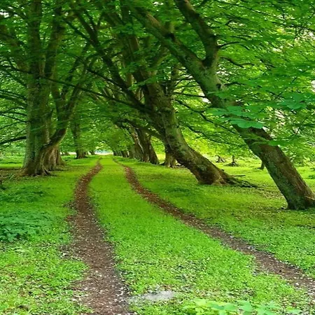 Апартаменты Gerda In Ostseenaehe