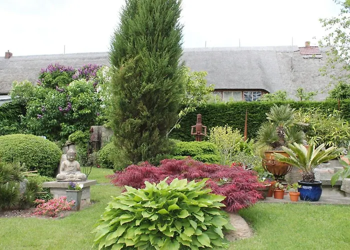 Gerda In Ostseenaehe *