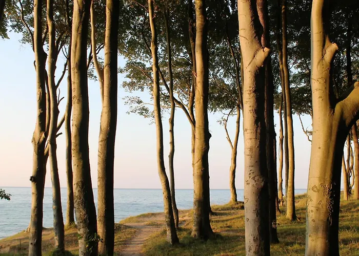 Gerda In Ostseenaehe Hinter Bollhagen