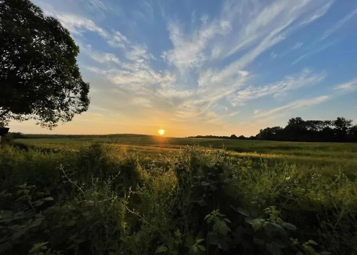 Gerda In Ostseenaehe Hinter Bollhagen