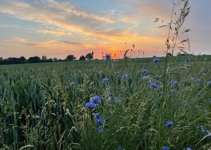 Gerda In Ostseenaehe شقة
